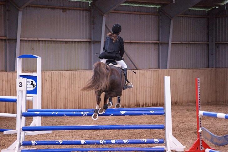 Stævne på Stevns rideklub D. 16/5-10 LJ-Foto billede 116