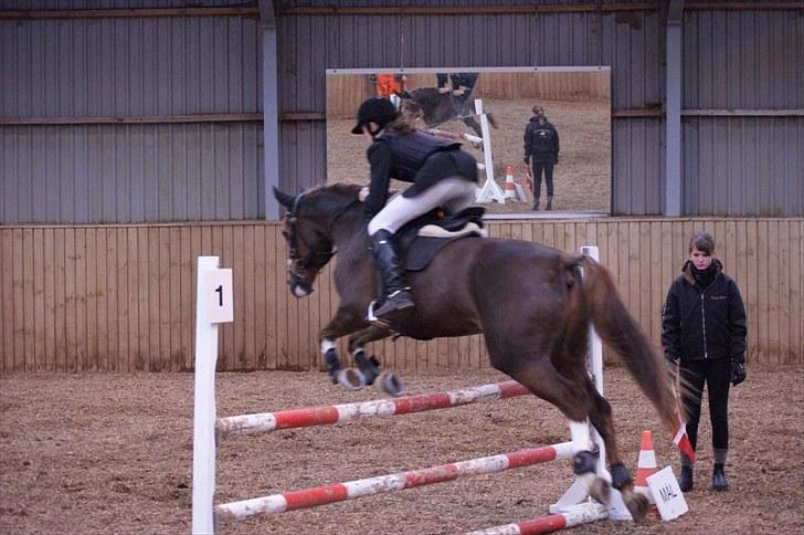 Stævne på Stevns rideklub D. 16/5-10 LJ-Foto billede 117