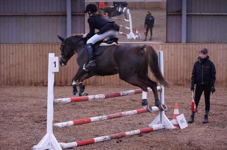Stævne på Stevns rideklub D. 16/5-10 LJ-Foto billede 118