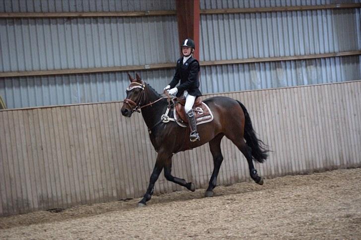 Stævne på Stevns rideklub D. 16/5-10 LJ-Foto billede 119
