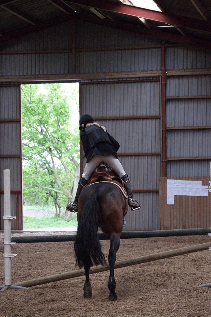 Stævne på Stevns rideklub D. 16/5-10 LJ-Foto billede 120