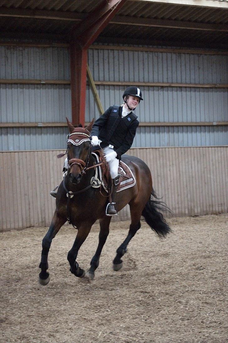 Stævne på Stevns rideklub D. 16/5-10 LJ-Foto billede 121