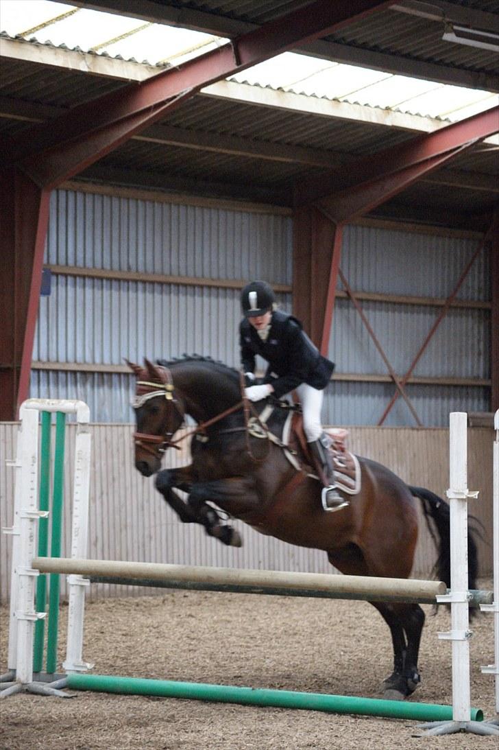 Stævne på Stevns rideklub D. 16/5-10 LJ-Foto billede 122