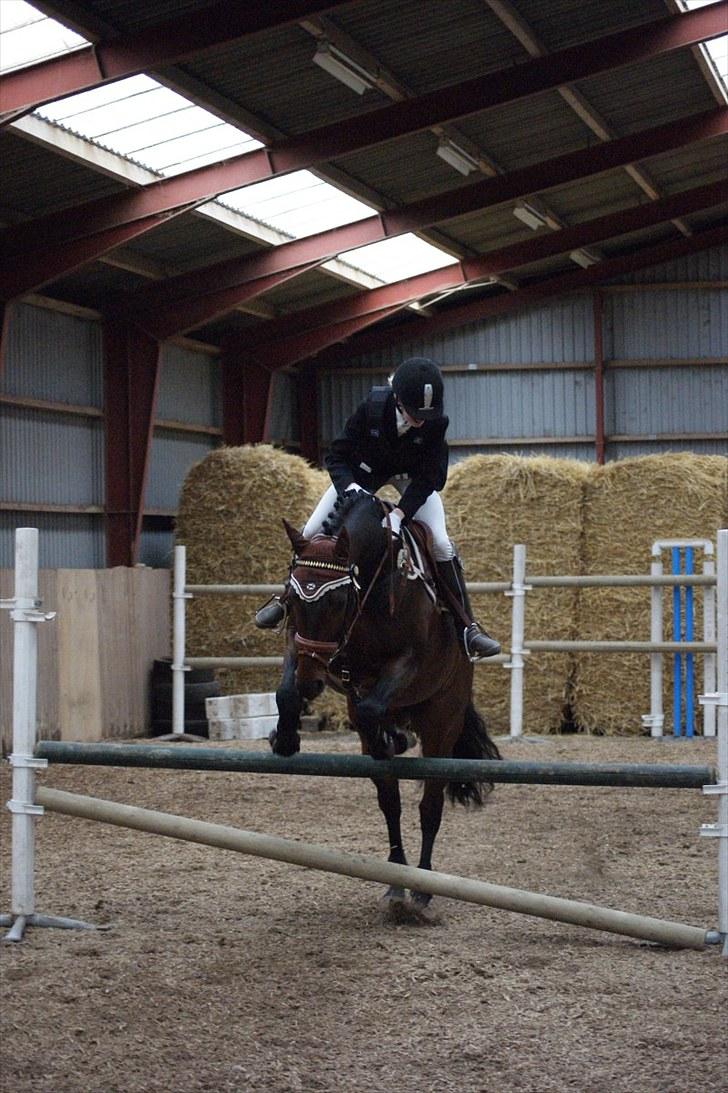 Stævne på Stevns rideklub D. 16/5-10 LJ-Foto billede 123