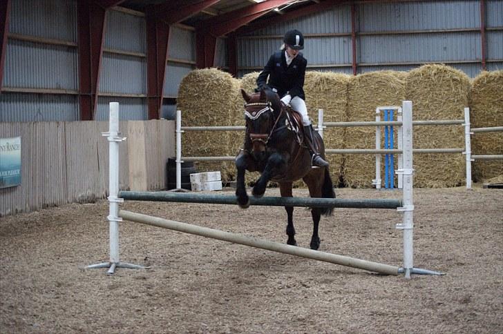 Stævne på Stevns rideklub D. 16/5-10 LJ-Foto billede 124