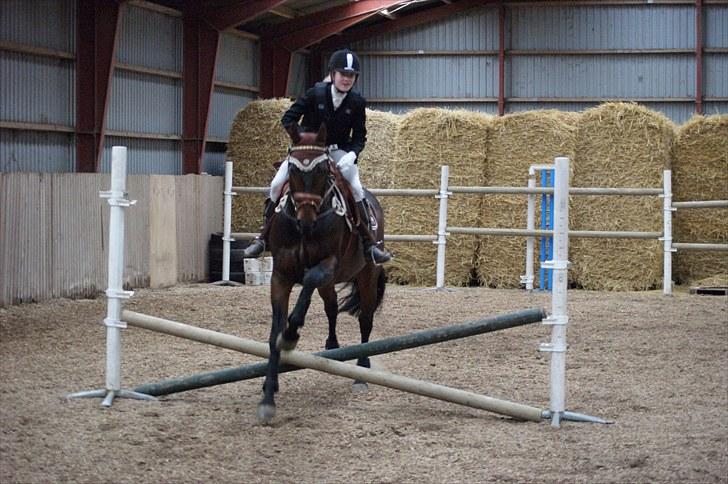 Stævne på Stevns rideklub D. 16/5-10 LJ-Foto billede 125