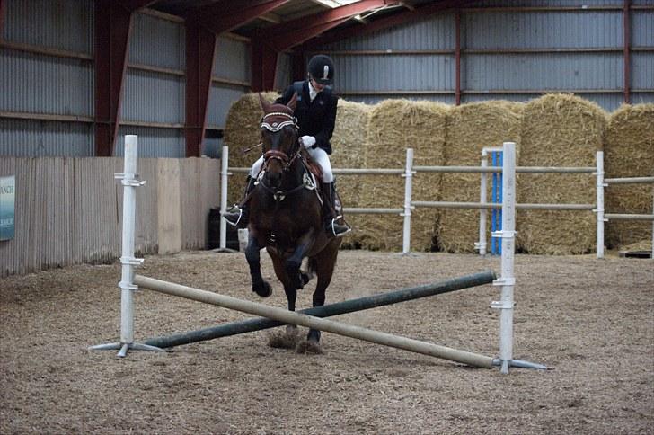 Stævne på Stevns rideklub D. 16/5-10 LJ-Foto billede 126