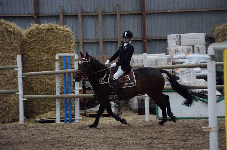 Stævne på Stevns rideklub D. 16/5-10 LJ-Foto billede 127