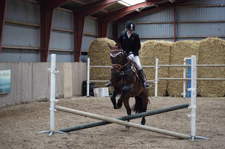 Stævne på Stevns rideklub D. 16/5-10 LJ-Foto billede 128