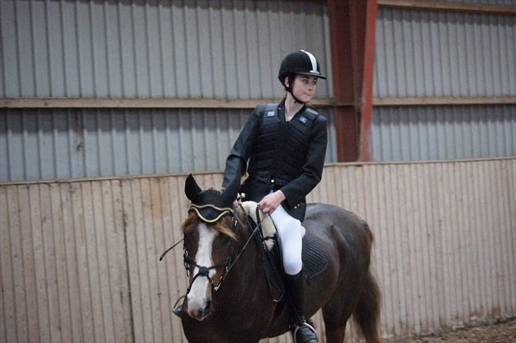 Stævne på Stevns rideklub D. 16/5-10 LJ-Foto billede 129