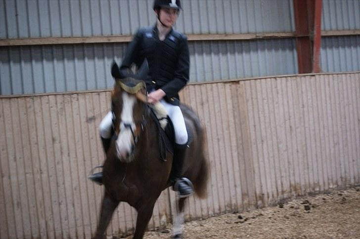 Stævne på Stevns rideklub D. 16/5-10 LJ-Foto billede 131