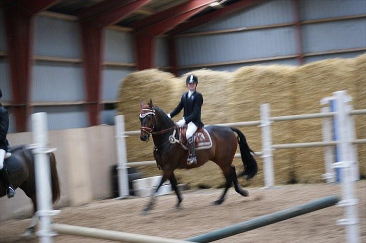 Stævne på Stevns rideklub D. 16/5-10 LJ-Foto billede 132