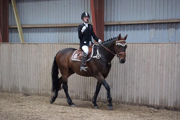 Stævne på Stevns rideklub D. 16/5-10 LJ-Foto billede 136