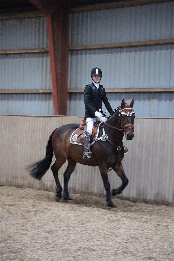 Stævne på Stevns rideklub D. 16/5-10 LJ-Foto billede 137