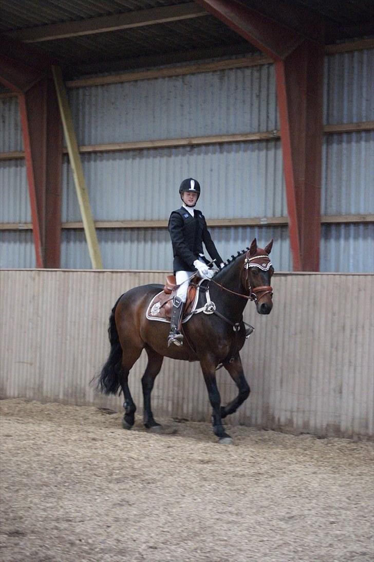 Stævne på Stevns rideklub D. 16/5-10 LJ-Foto billede 138