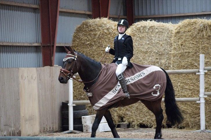 Stævne på Stevns rideklub D. 16/5-10 LJ-Foto billede 139