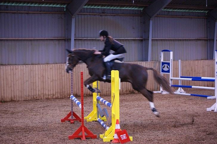 Stævne på Stevns rideklub D. 16/5-10 LJ-Foto billede 142