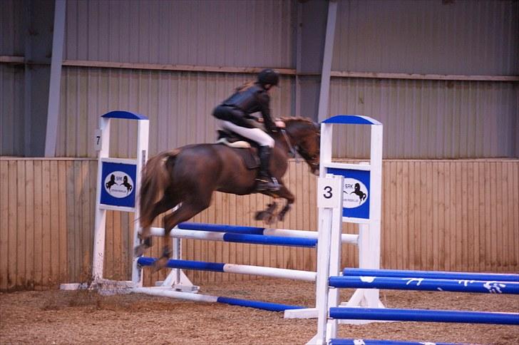Stævne på Stevns rideklub D. 16/5-10 LJ-Foto billede 143