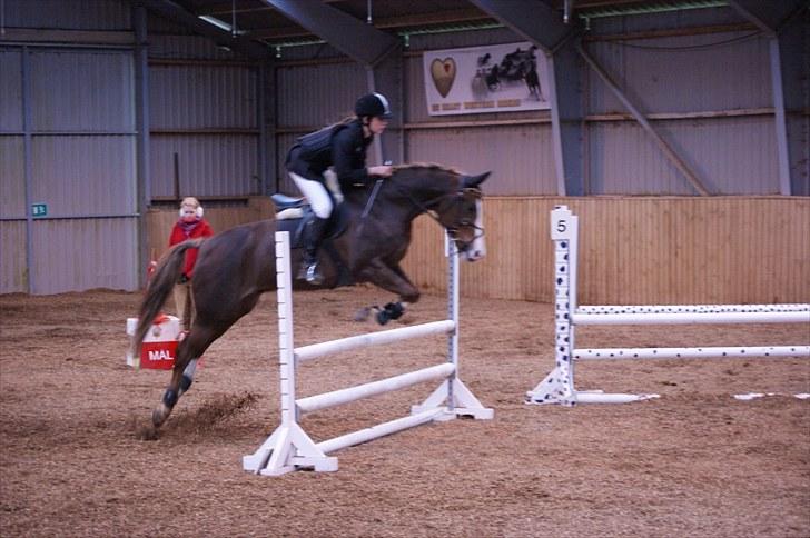 Stævne på Stevns rideklub D. 16/5-10 LJ-Foto billede 144