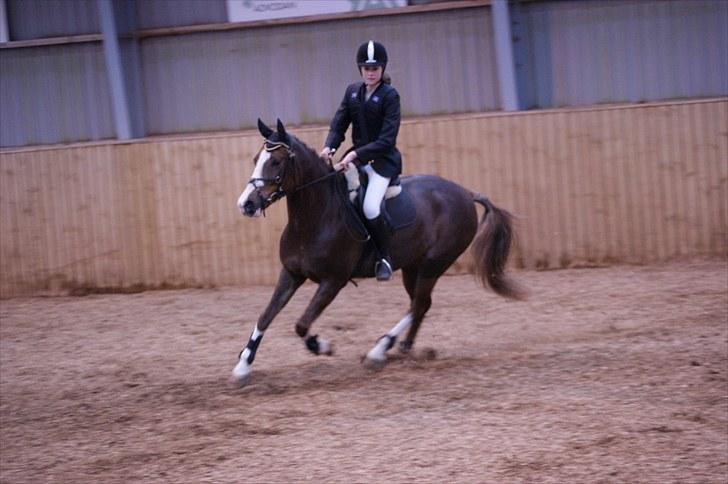 Stævne på Stevns rideklub D. 16/5-10 LJ-Foto billede 148