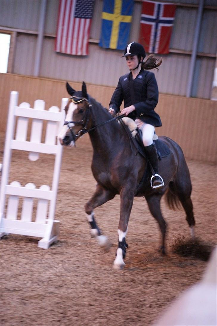 Stævne på Stevns rideklub D. 16/5-10 LJ-Foto billede 150