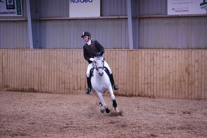 Stævne på Stevns rideklub D. 16/5-10 LJ-Foto billede 153