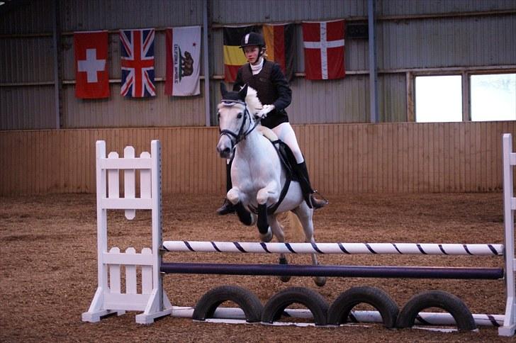 Stævne på Stevns rideklub D. 16/5-10 LJ-Foto billede 155