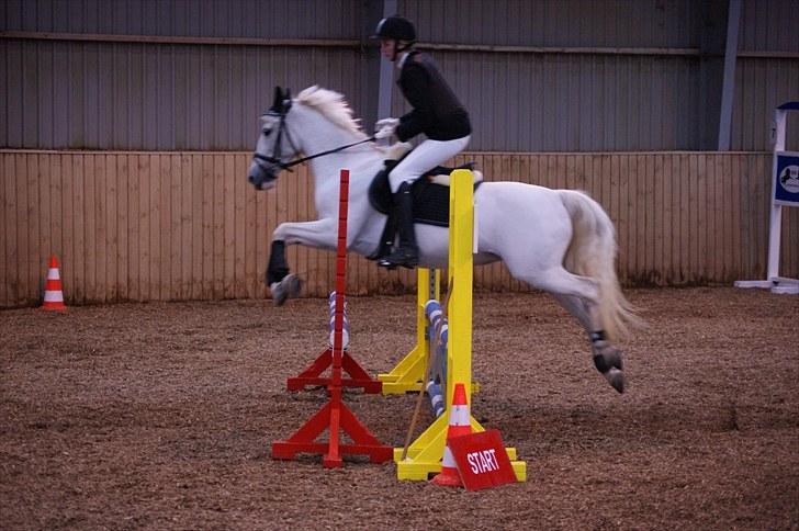Stævne på Stevns rideklub D. 16/5-10 LJ-Foto billede 156