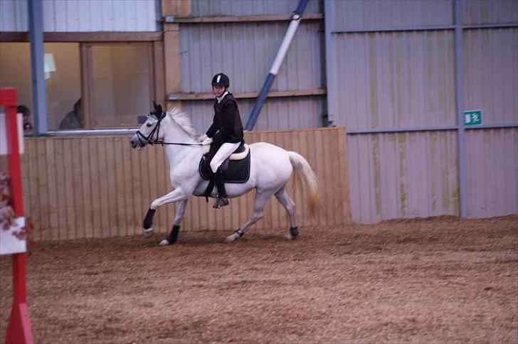 Stævne på Stevns rideklub D. 16/5-10 LJ-Foto billede 157
