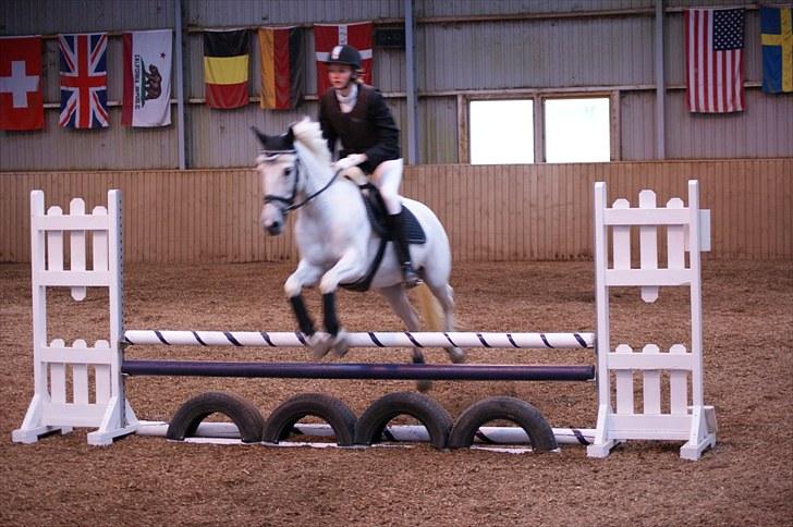 Stævne på Stevns rideklub D. 16/5-10 LJ-Foto billede 158