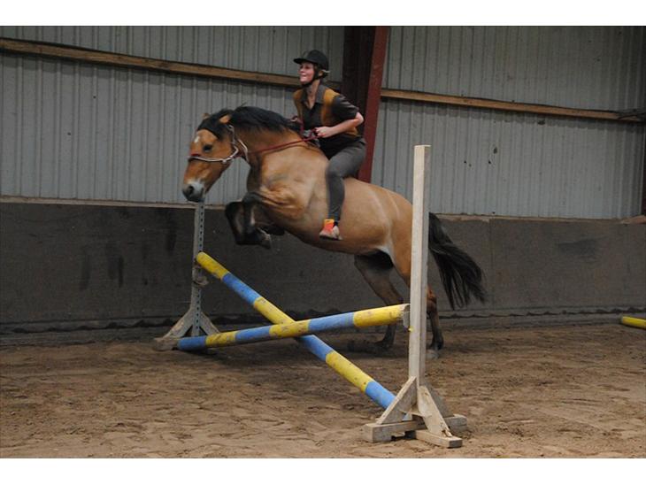 {{currentPhoto.altText}} billede {{currentPhoto.number}}