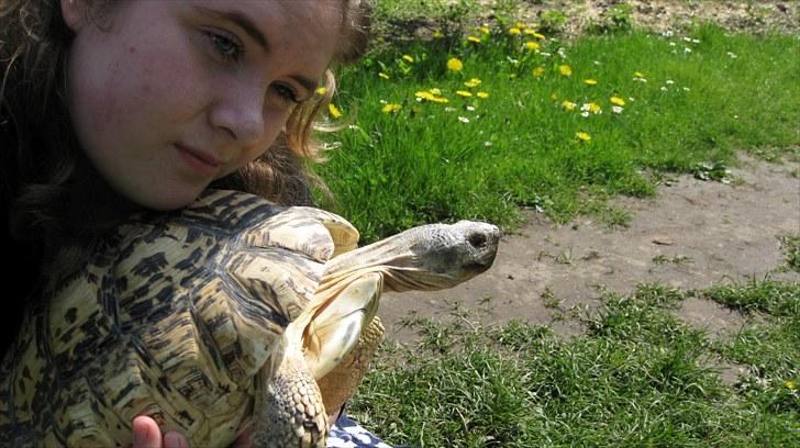 Skildpadderne :p <3 de dejlige dyr! - Mig og leo ^^ billede 50