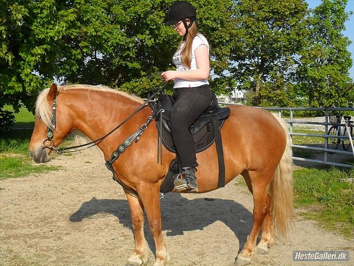 Western udstyr :D - 21/5-10 Fotograf: Laila <3 billede 2