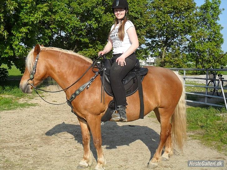 Western udstyr :D - 21/5-10 Fotograf: Laila <3 billede 3