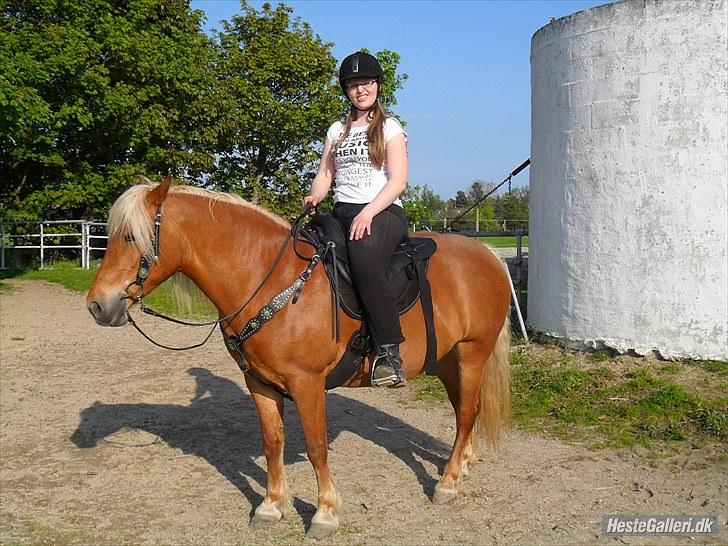 Western udstyr :D - 21/5-10 Fotograf: Laila <3 billede 4