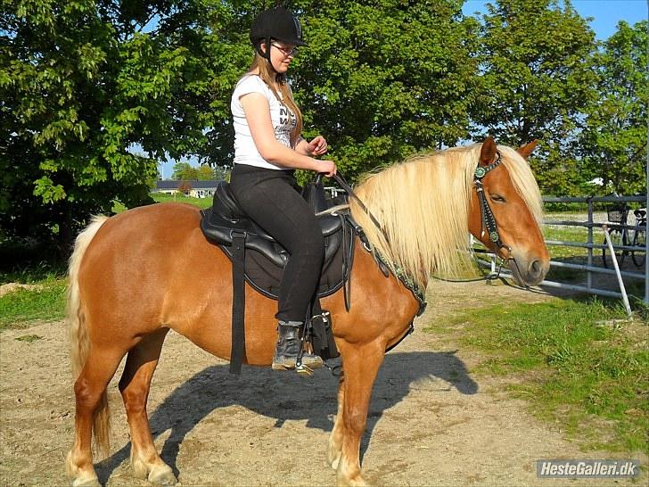 Western udstyr :D - 21/5-10 Fotograf: Laila <3 billede 7