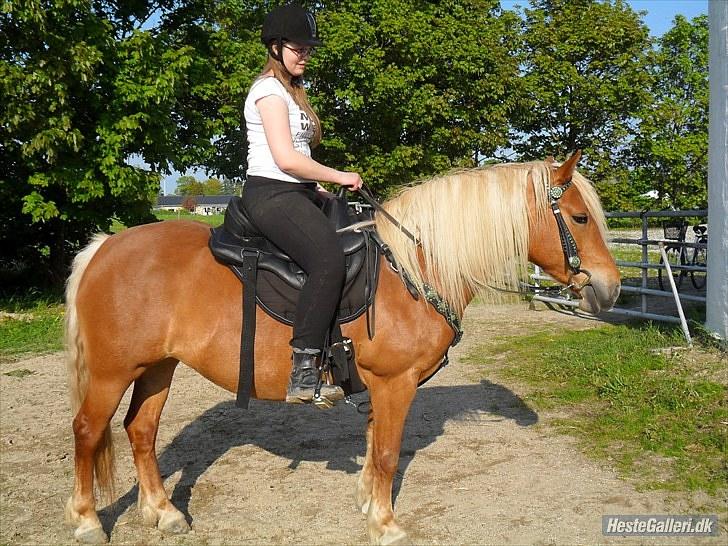 Western udstyr :D - 21/5-10 Fotograf: Laila <3 billede 8