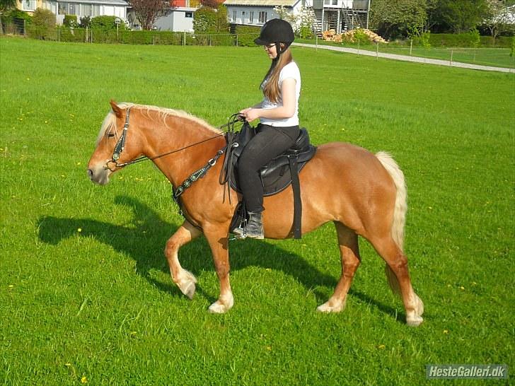 Western udstyr :D - 21/5-10 Fotograf: Laila <3 billede 9