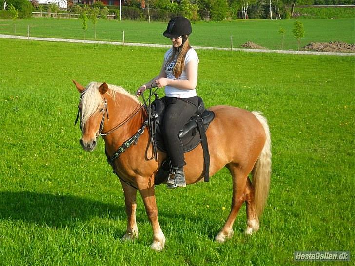 Western udstyr :D - 21/5-10 Fotograf: Laila <3 billede 12