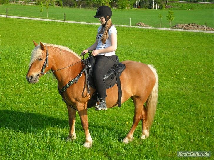 Western udstyr :D - 21/5-10 Fotograf: Laila <3 billede 13