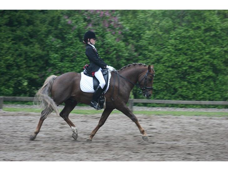 {{currentPhoto.altText}} billede {{currentPhoto.number}}