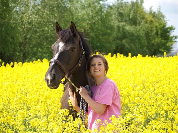 Gul Mark med 5 flotte ponyer! billede 1