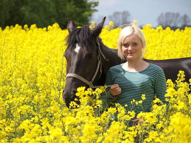 Gul Mark med 5 flotte ponyer! billede 52