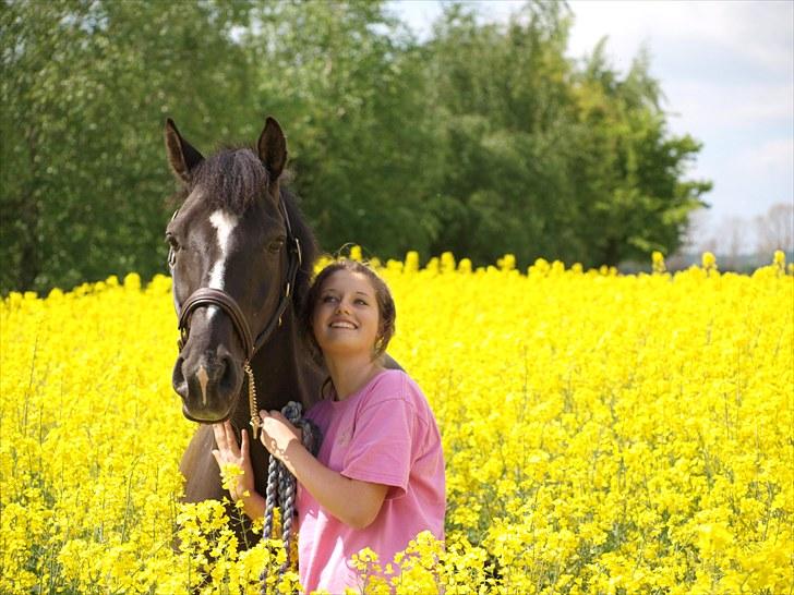 Gul Mark med 5 flotte ponyer! billede 100