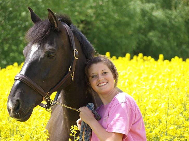 Gul Mark med 5 flotte ponyer! billede 107