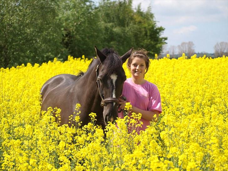 Gul Mark med 5 flotte ponyer! billede 113