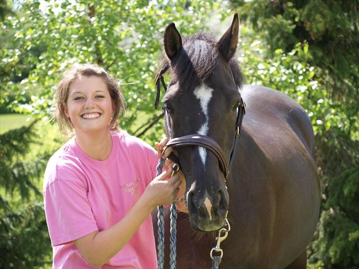 Gul Mark med 5 flotte ponyer! billede 118