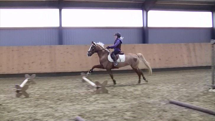 Kursus ved Lars Trier Kjøller (LTK) billede 4