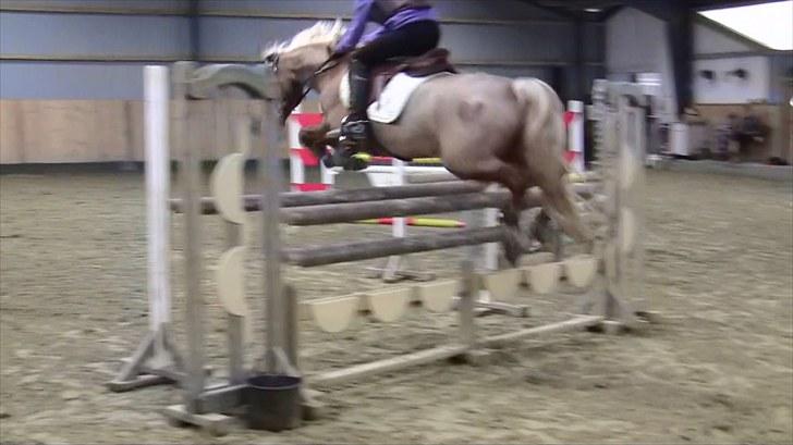 Kursus ved Lars Trier Kjøller (LTK) billede 11