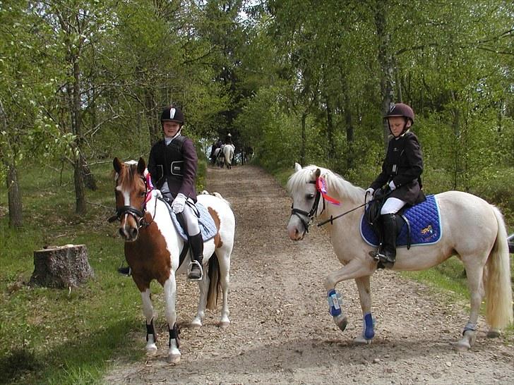 Birgittelyst Rideklub 23.05.2010 billede 14